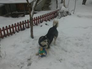 Прикачена снимка