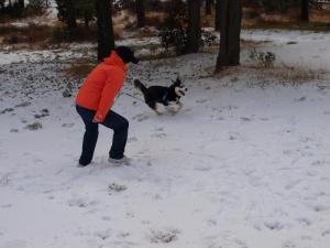 Прикачена снимка