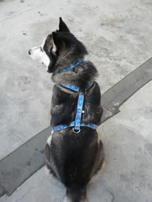 Прикачена снимка