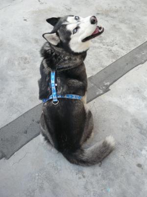 Прикачена снимка