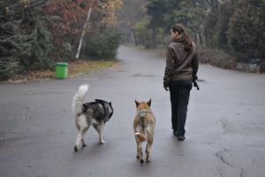 Прикачена снимка
