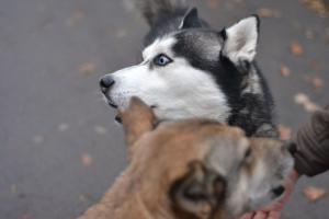 Прикачена снимка