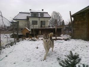 Прикачена снимка