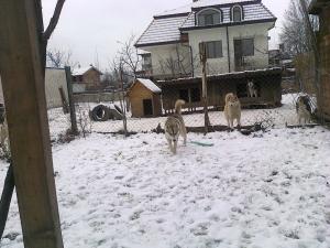 Прикачена снимка
