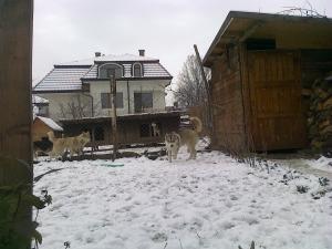 Прикачена снимка