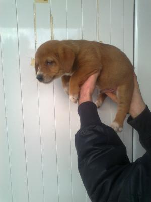 Прикачена снимка