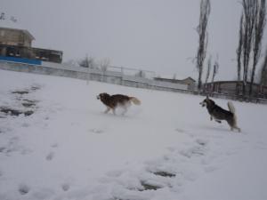 Прикачена снимка