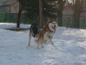 Прикачена снимка