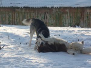 Прикачена снимка