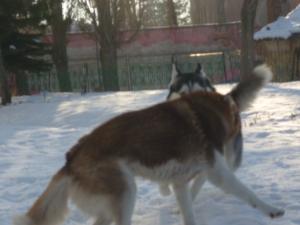 Прикачена снимка
