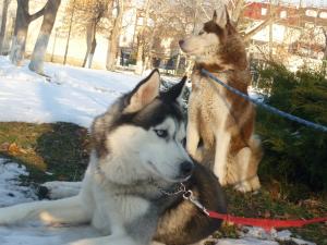 Прикачена снимка