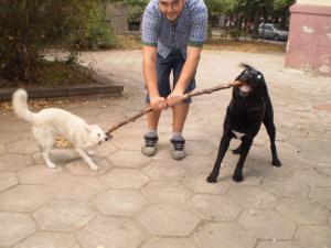 Прикачена снимка