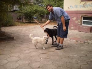 Прикачена снимка