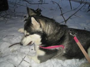 Прикачена снимка