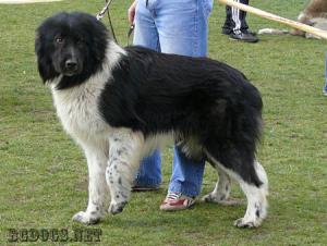 Прикачена снимка
