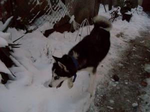 Прикачена снимка