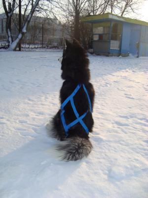 Прикачена снимка