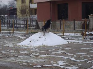 Прикачена снимка
