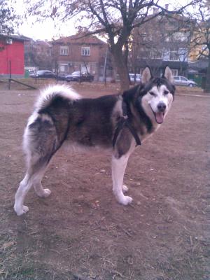 Прикачена снимка