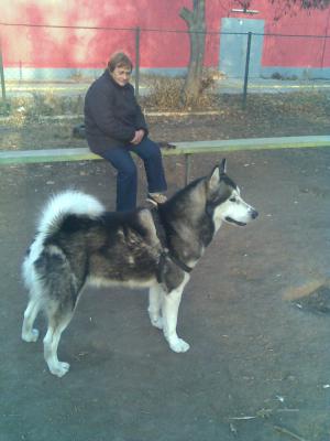 Прикачена снимка