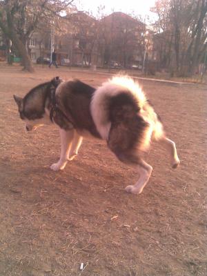Прикачена снимка