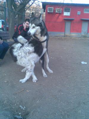 Прикачена снимка