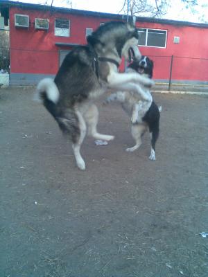 Прикачена снимка