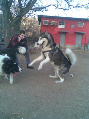 Прикачена снимка