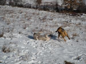 Прикачена снимка