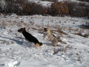 Прикачена снимка