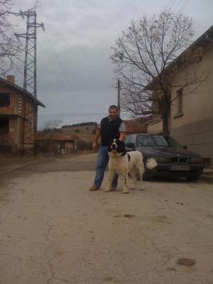 Прикачена снимка