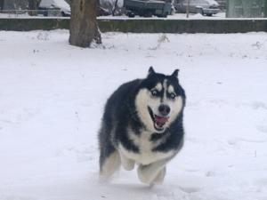 Прикачена снимка