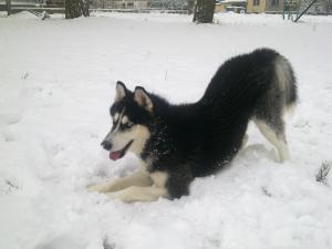 Прикачена снимка