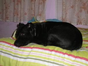 Прикачена снимка