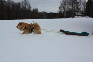 Прикачена снимка