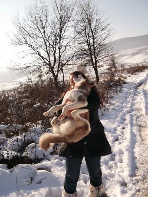 Прикачена снимка