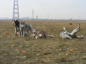 Прикачена снимка