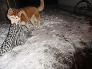 Прикачена снимка