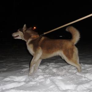 Прикачена снимка