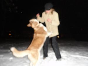 Прикачена снимка