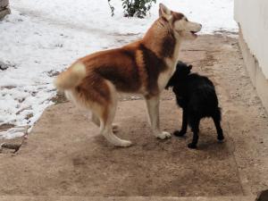 Прикачена снимка
