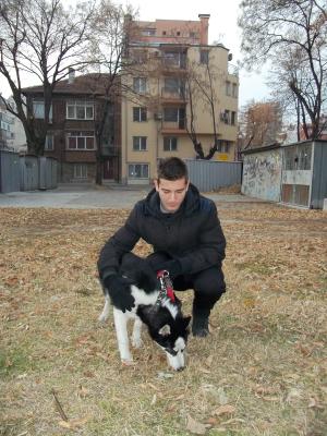 Прикачена снимка