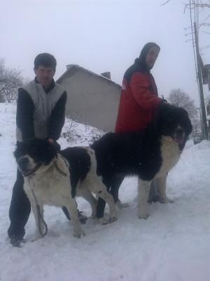 Прикачена снимка