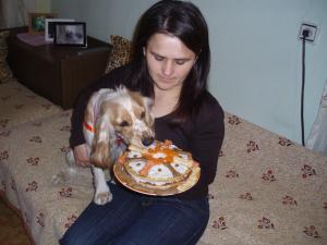 Прикачена снимка
