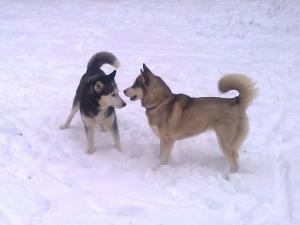 Прикачена снимка