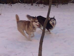 Прикачена снимка