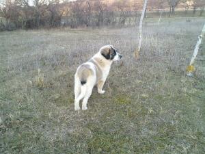 Прикачена снимка