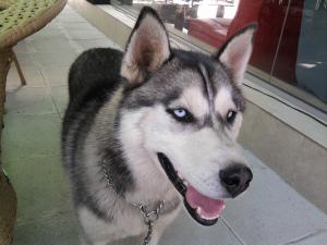 Прикачена снимка