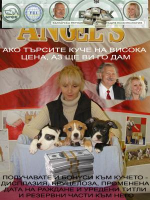 Прикачена снимка