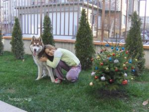 Прикачена снимка